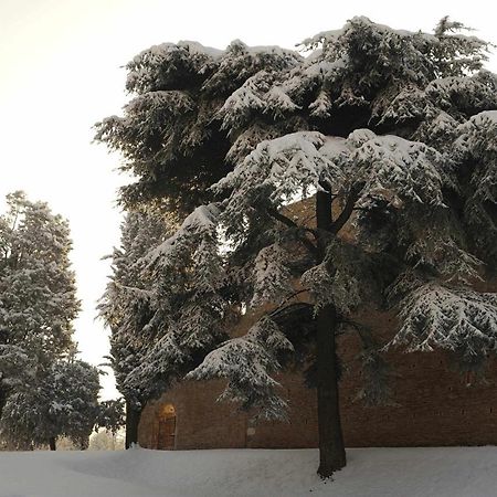 Ca Raffaello Lovely House Near Venice 노알레 외부 사진