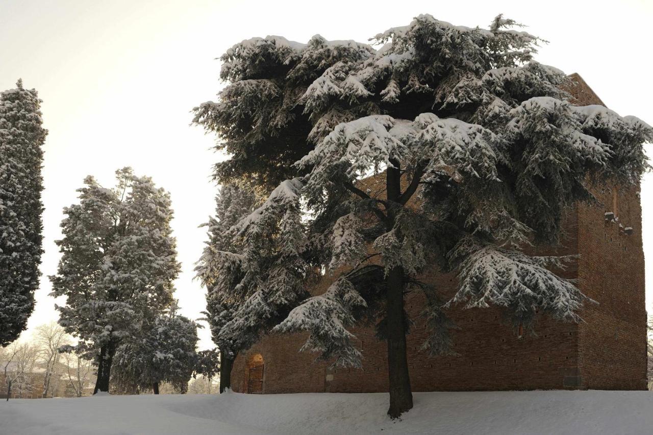 Ca Raffaello Lovely House Near Venice 노알레 외부 사진